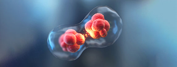 Regenerative, Cell & Integrative Medicine
